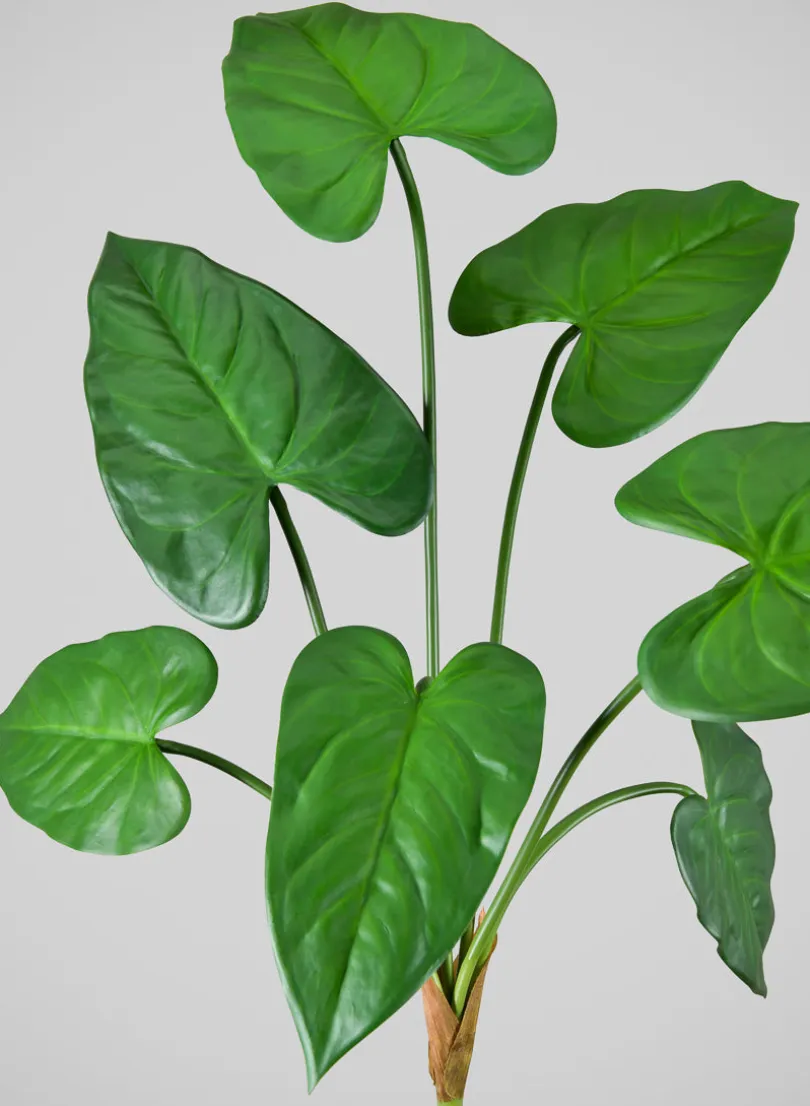 27in Long Green Anthurium Leaf Spray, Case of 12