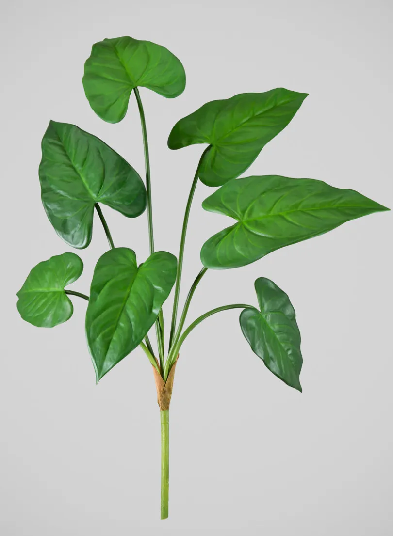 27in Long Green Anthurium Leaf Spray, Case of 12