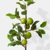 36in Long Green Apple Branch, Case of 6