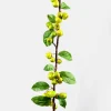 37in Long Green Berry Branch