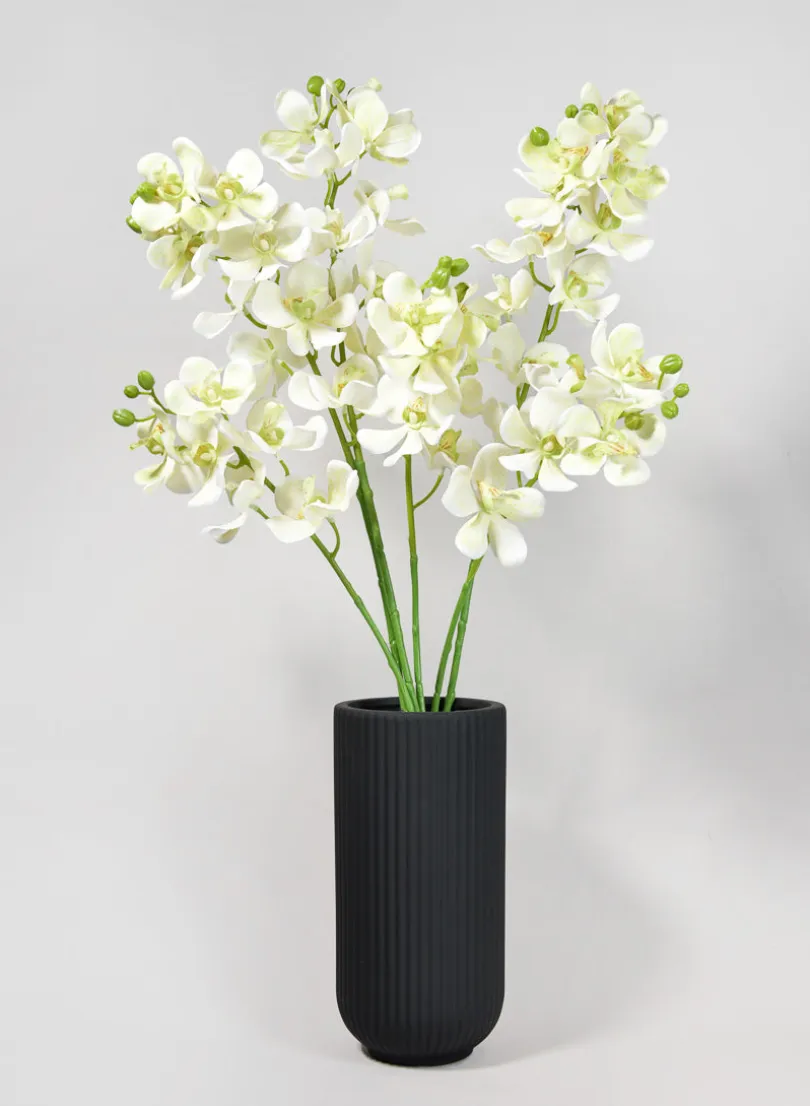 33in Long Green Double Orchid Stem, Case of 12