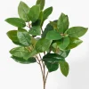 25in Long Green Magnolia Leaf Spray, Case of 12