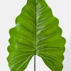 43in Long Green Princess Leaf, Case of 12