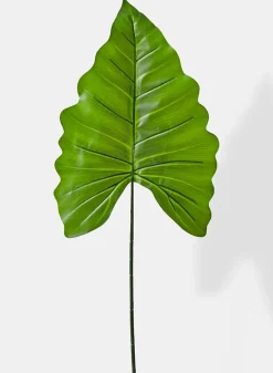 43in Long Green Princess Leaf, Case of 12