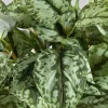 18in Long Green Scindapsus Leaves Bunch, Case of 12