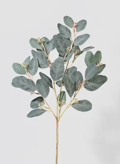 30in Long Green Seeded Eucalyptus Pick, Case of 12