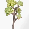 19in Long Green Succulent Pick, Case of 10