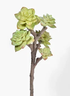 19in Long Green Succulent Pick, Case of 10