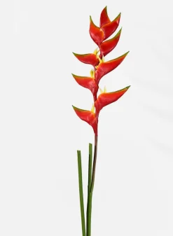 47in Long Heliconia