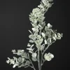 30in Long Iced Eucalyptus Pick, Case of 12