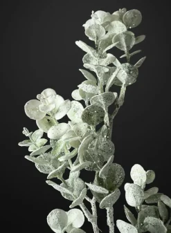 30in Long Iced Eucalyptus Pick, Case of 12