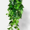 35in Long Jade Pothos Hanging Bush