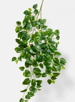 41in Long Jade Pothos Spray