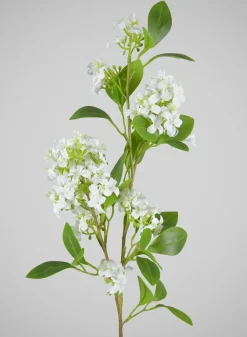 31in Long Jasmine Spray, Case of 12