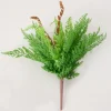 12in Long Kimberley Fern Bush, Case of 12