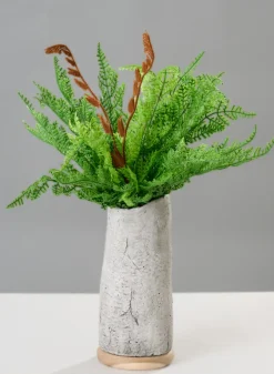 12in Long Kimberley Fern Bush, Case of 12