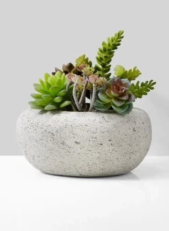 7.5in Long Lava Rock Pot