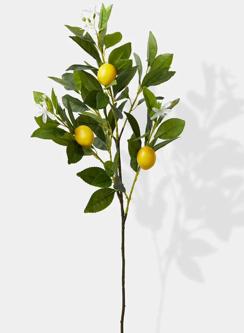 30in Long Lemon Tree Branch