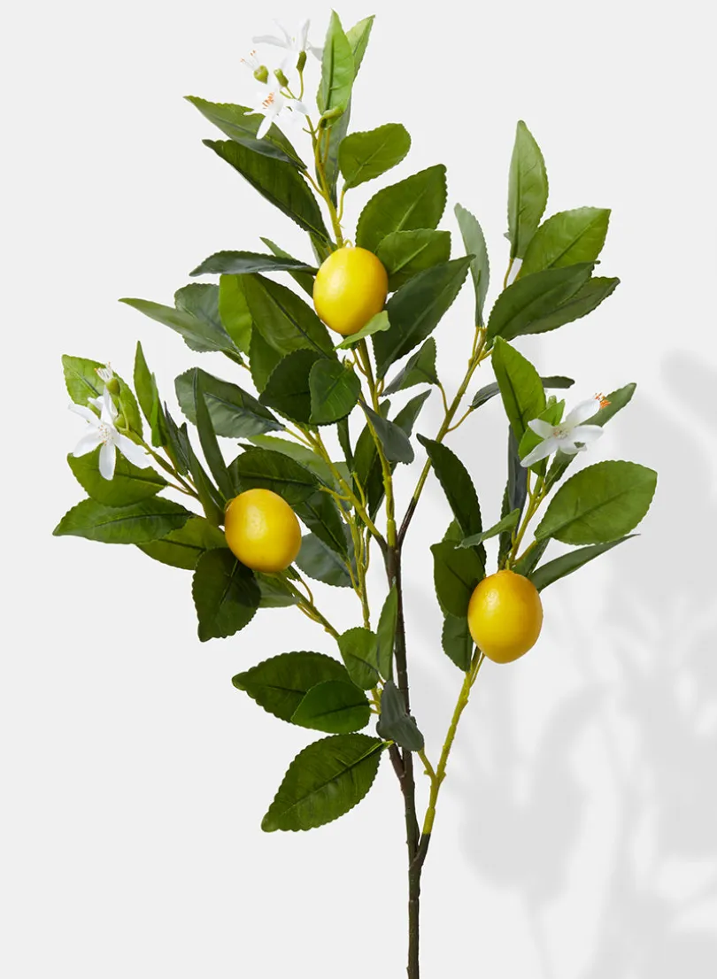 30in Long Lemon Tree Branch