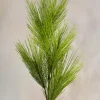 37in Long Light Green Eastern White Pine Pick, Case of 12