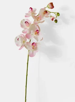 43in Long Light Pink Phalaenopsis Orchid Spray, Case of 12