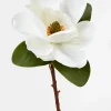 20in Long Magnolia, Case of 12