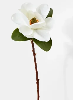 20in Long Magnolia, Case of 12