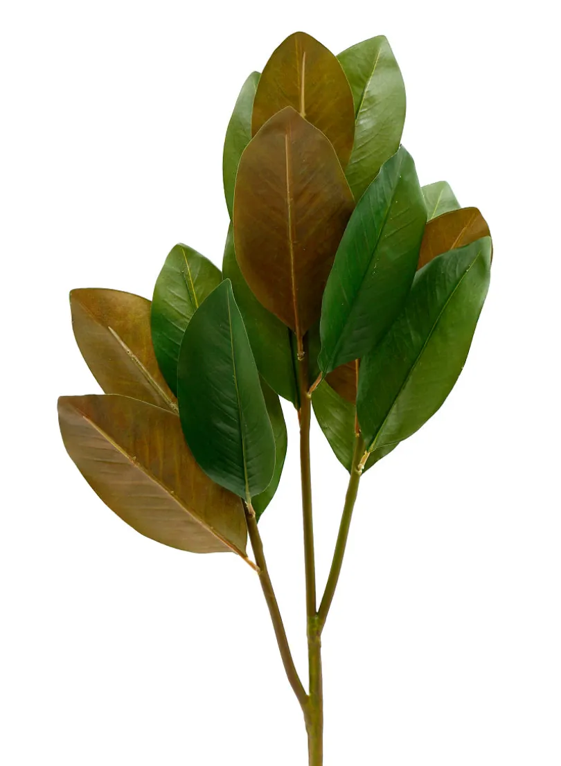 39in Long Magnolia Leaf Spray, Case of 12