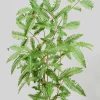 38in Long Mimosa Leaf Branch
