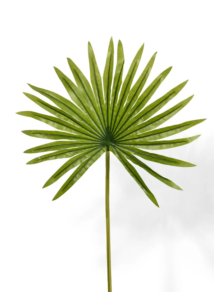 19in Long Mini Fan Palm Leaf, Case of 12