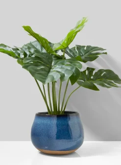 21in Long Monstera Plant In Cement Pot