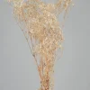28in Long Natural Dried Baby's Breath Bundle