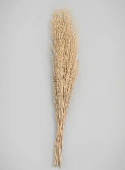 26in Long Natural Dried Linum Grass Bunch