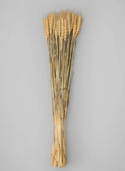 24in Long Natural Dried Wheat Bunch