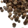 1in Long Natural Mini Pine Cones