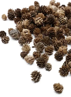 1in Long Natural Mini Pine Cones