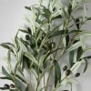 39in Long Olive Branch with Olives, Case of 6