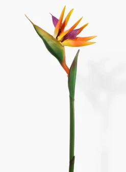 37in Long Orange Bird Of Paradise, Case of 12