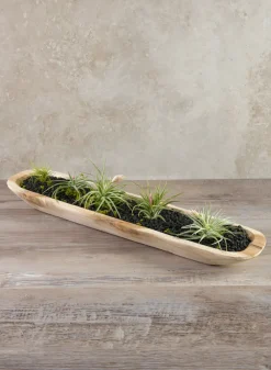 24in Long Padang Rectangular Wood Bowl