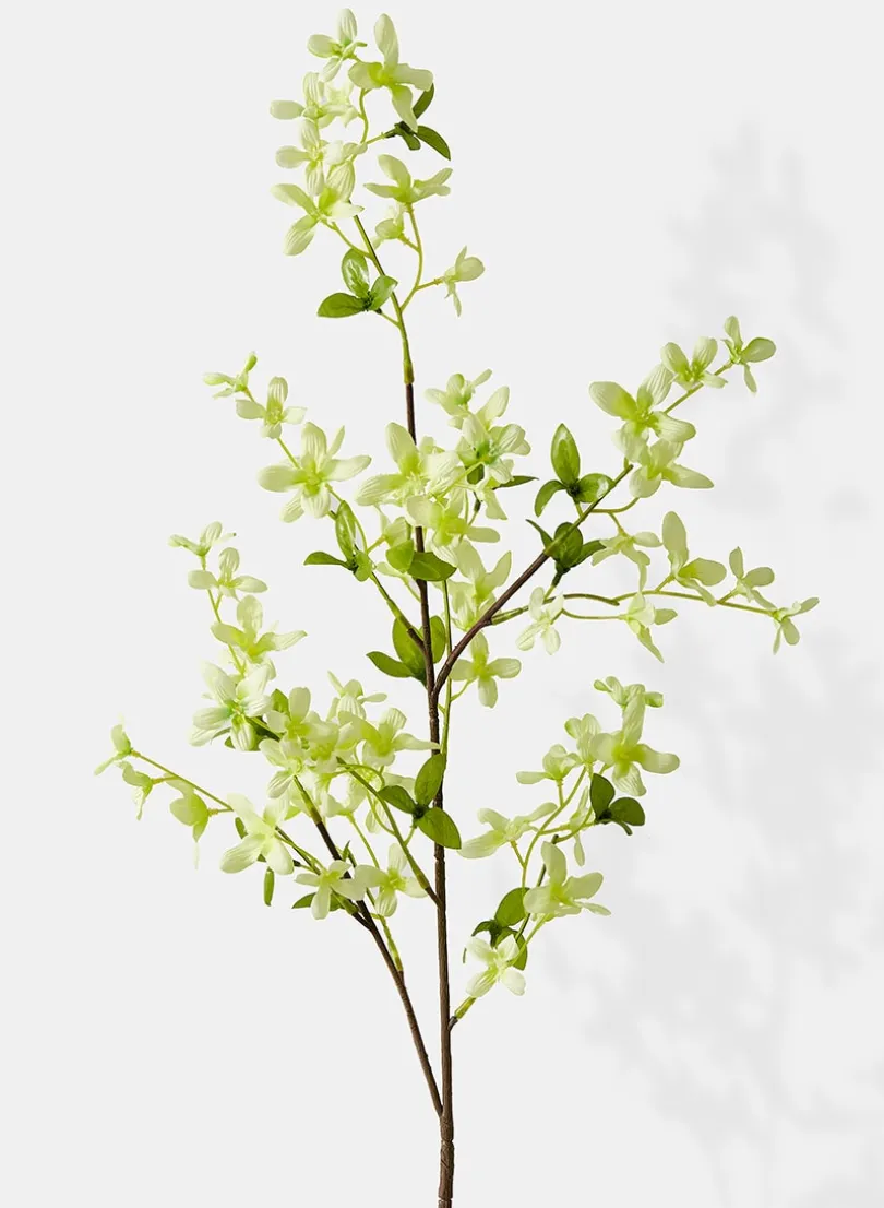 40in Long Pale Green Forsythia Spray, Case of 12