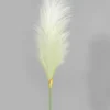 35in Long Pampas Grass, Case of 12