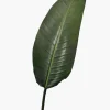 45in Long Paradise Leaf, Case of 12