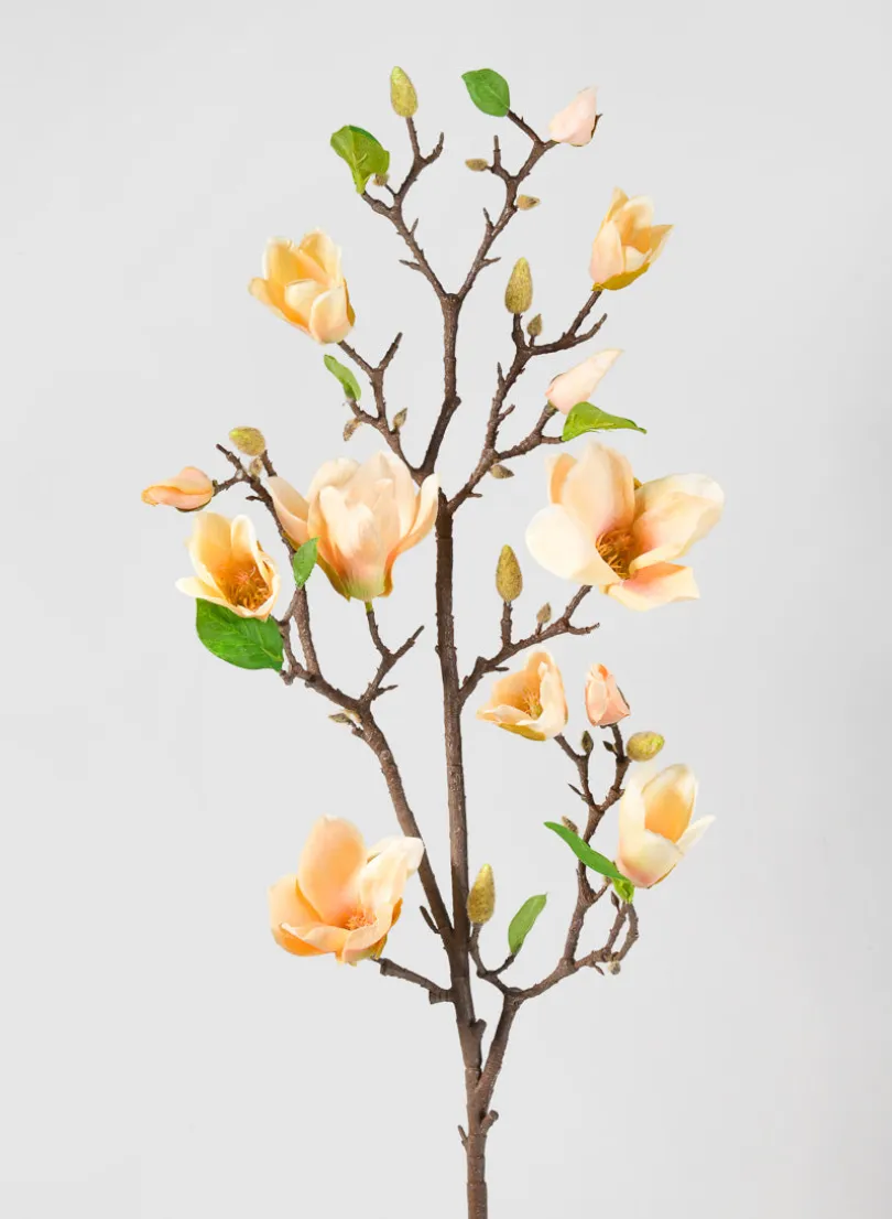 42in Long Peach Magnolia Blossom Branch, Case of 12