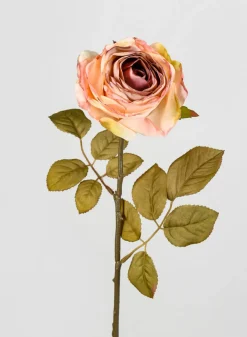 26.5in Long Peach Single Tea Rose Spray, Case of 12
