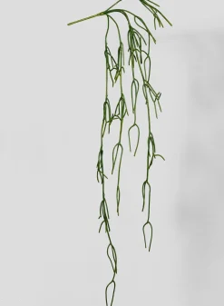 45in Long Pencil Cactus Vine, Case of 12