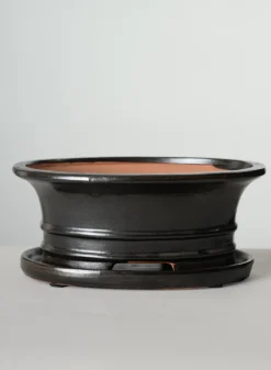 10in Long Penjing Oval Bonsai Ceramic Pot with Saucer, Chocolate Brown