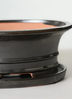 10in Long Penjing Oval Bonsai Ceramic Pot with Saucer, Chocolate Brown