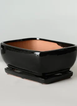 11in Long Penjing Rectangle Bonsai Ceramic Pot with Saucer, Gloss Black