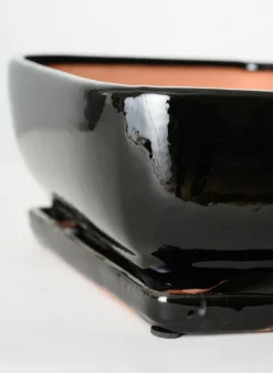11in Long Penjing Rectangle Bonsai Ceramic Pot with Saucer, Gloss Black