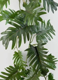 41in Long Philodendron Vine, Case of 12